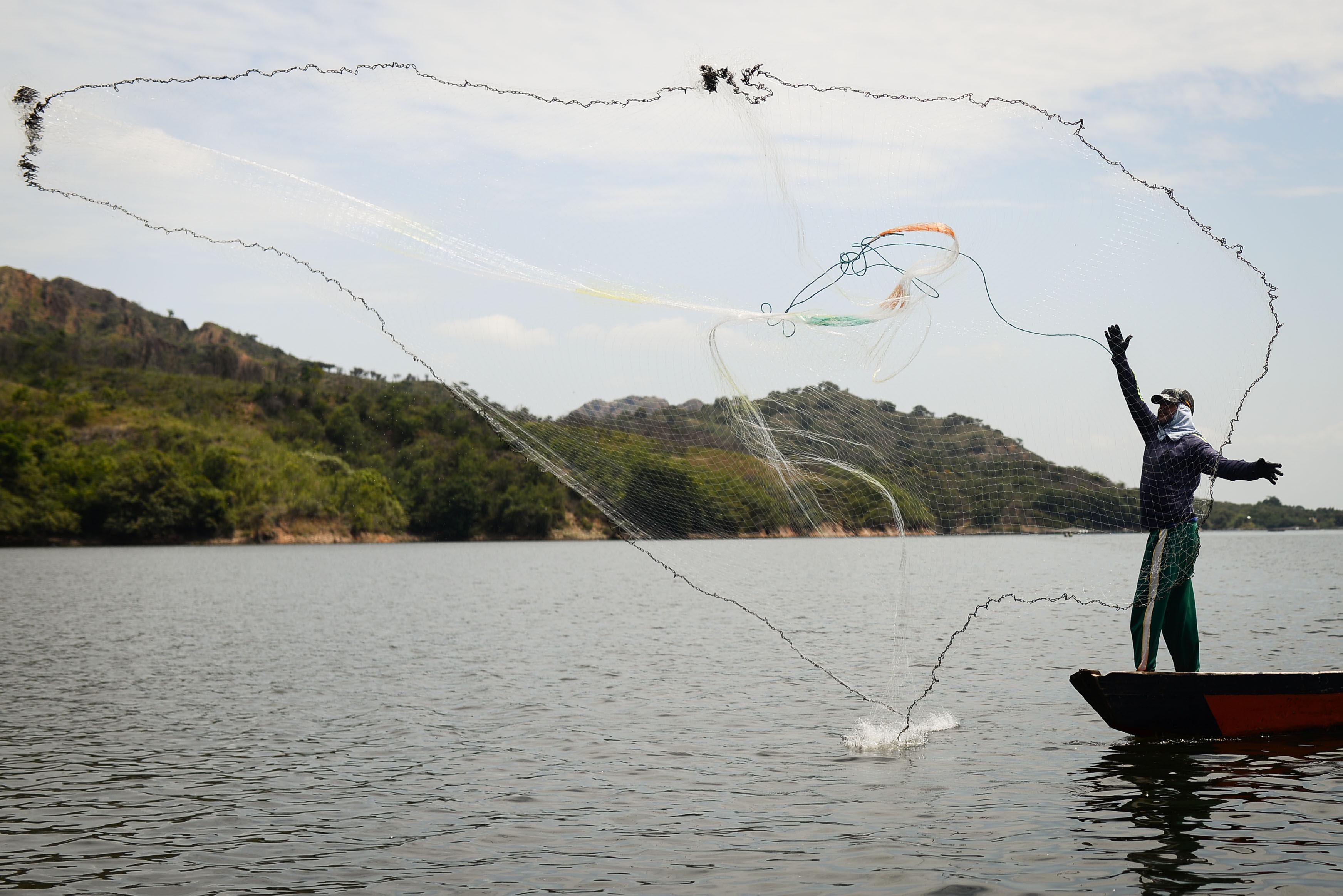 Lucha global contra el flagelo de la pesca ilegal