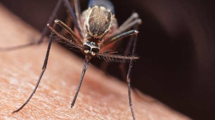 Alarma en Colombia por reporte de 96 mil casos de malaria