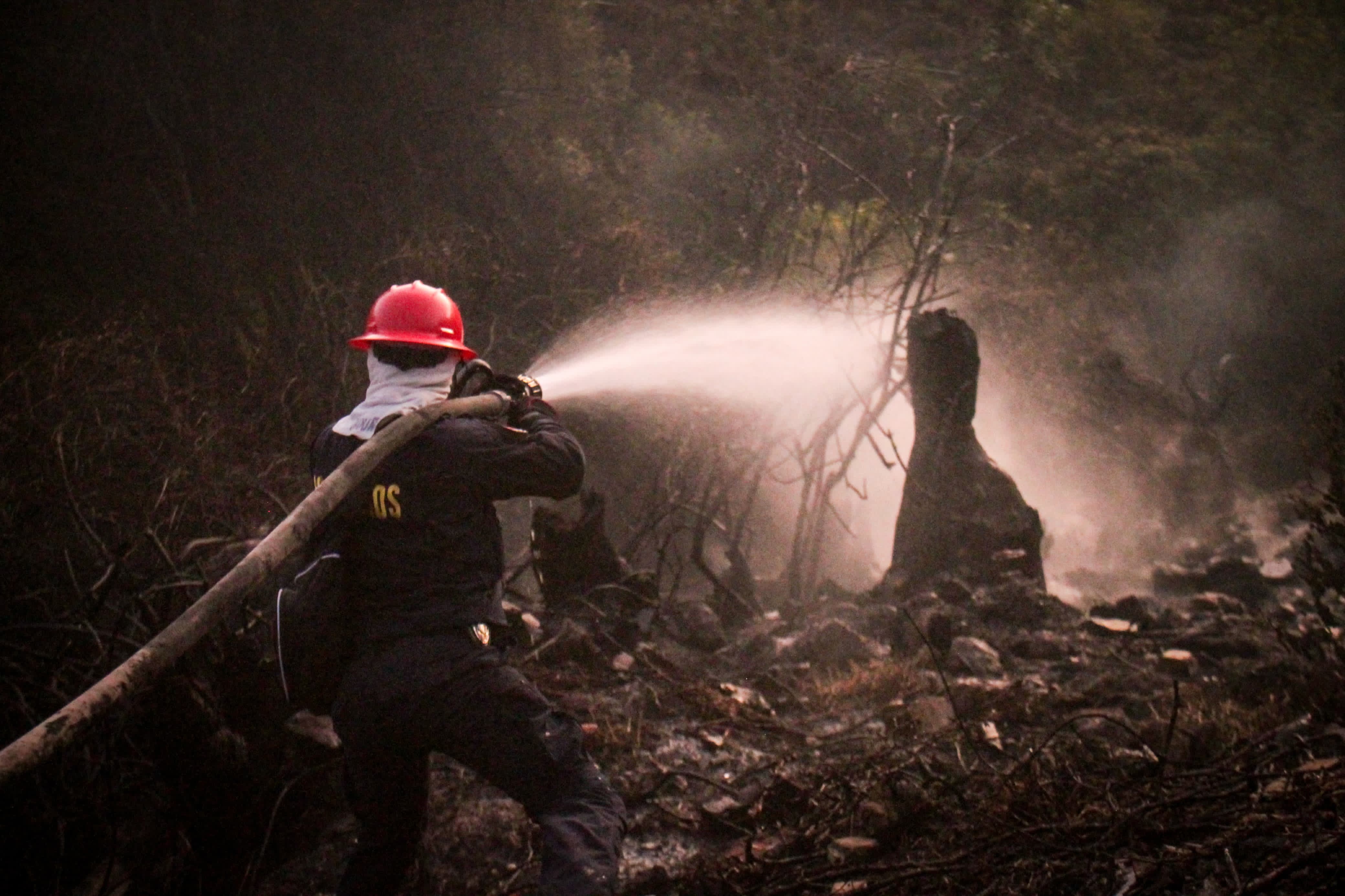 23 incendios forestales liquidados en las últimas horas: UNGRD