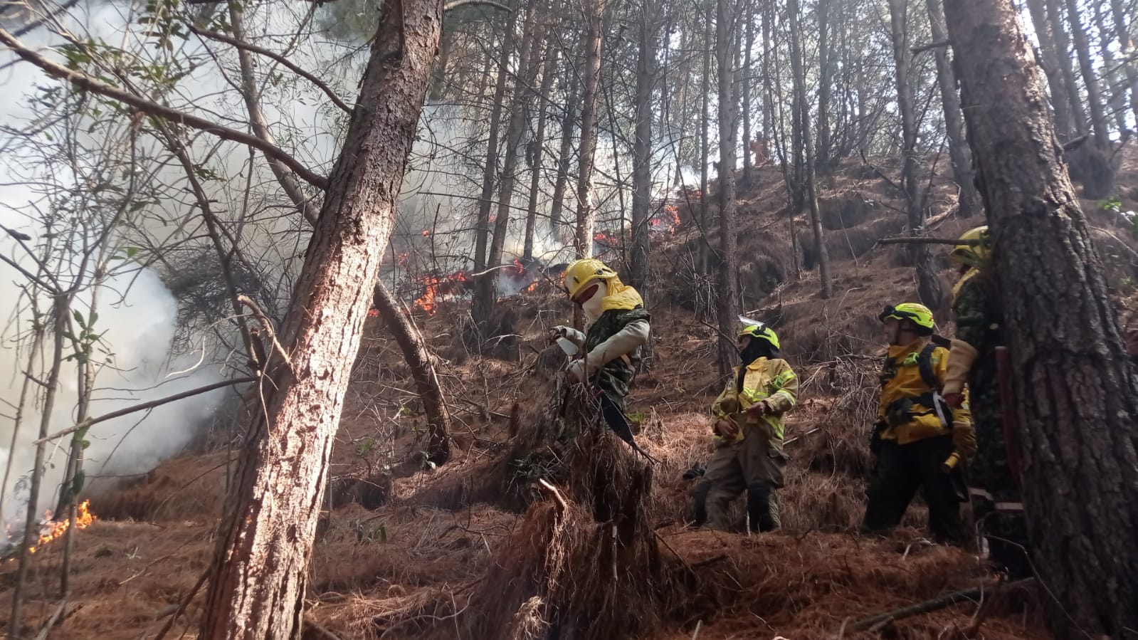 Incendio forestales en Colombia 